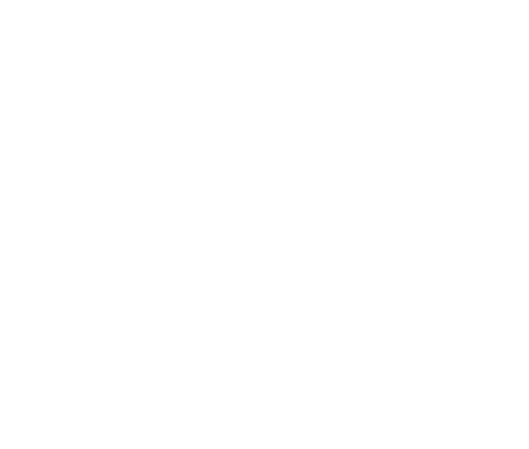 Logo SMSYA